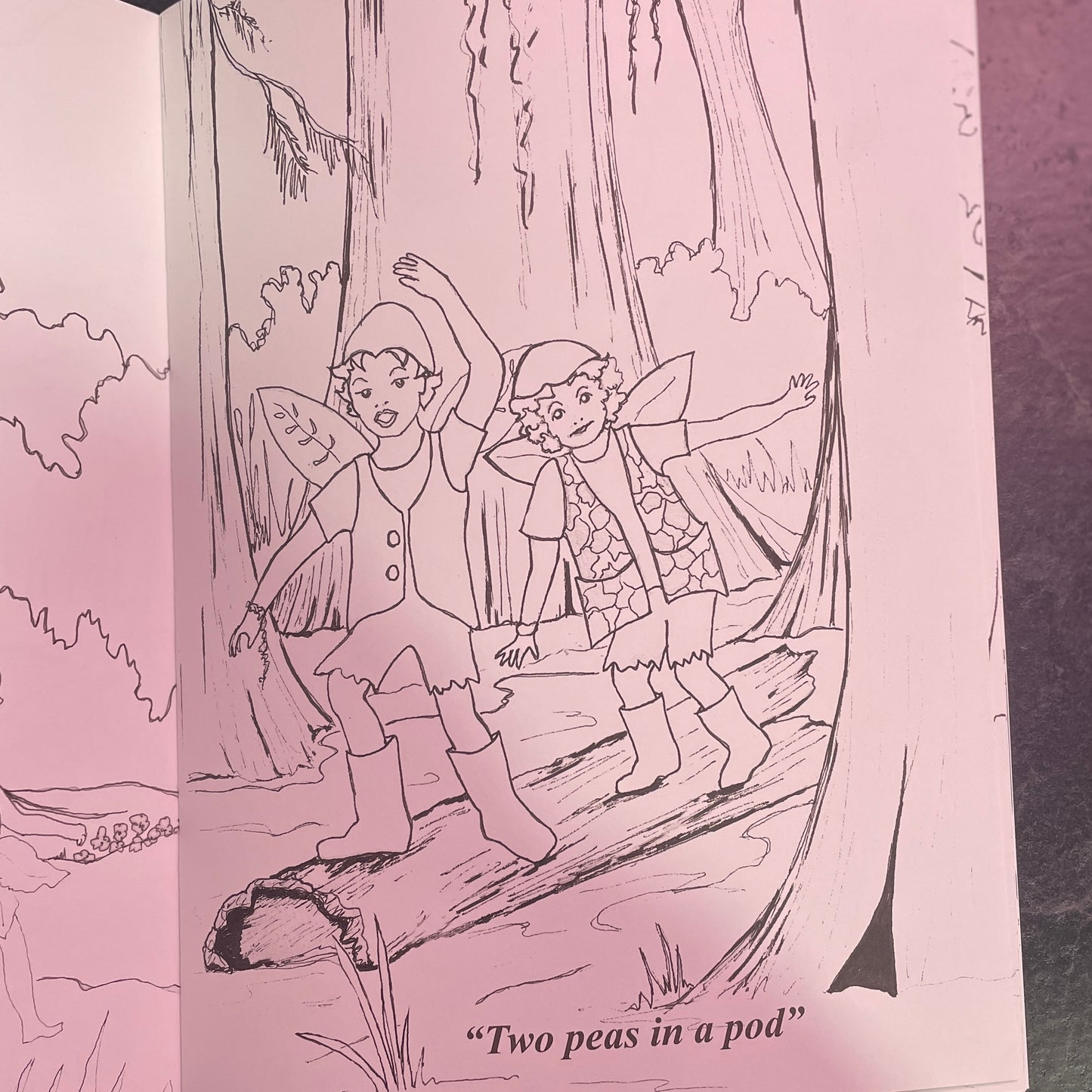 Bayou Fairies Coloring Book