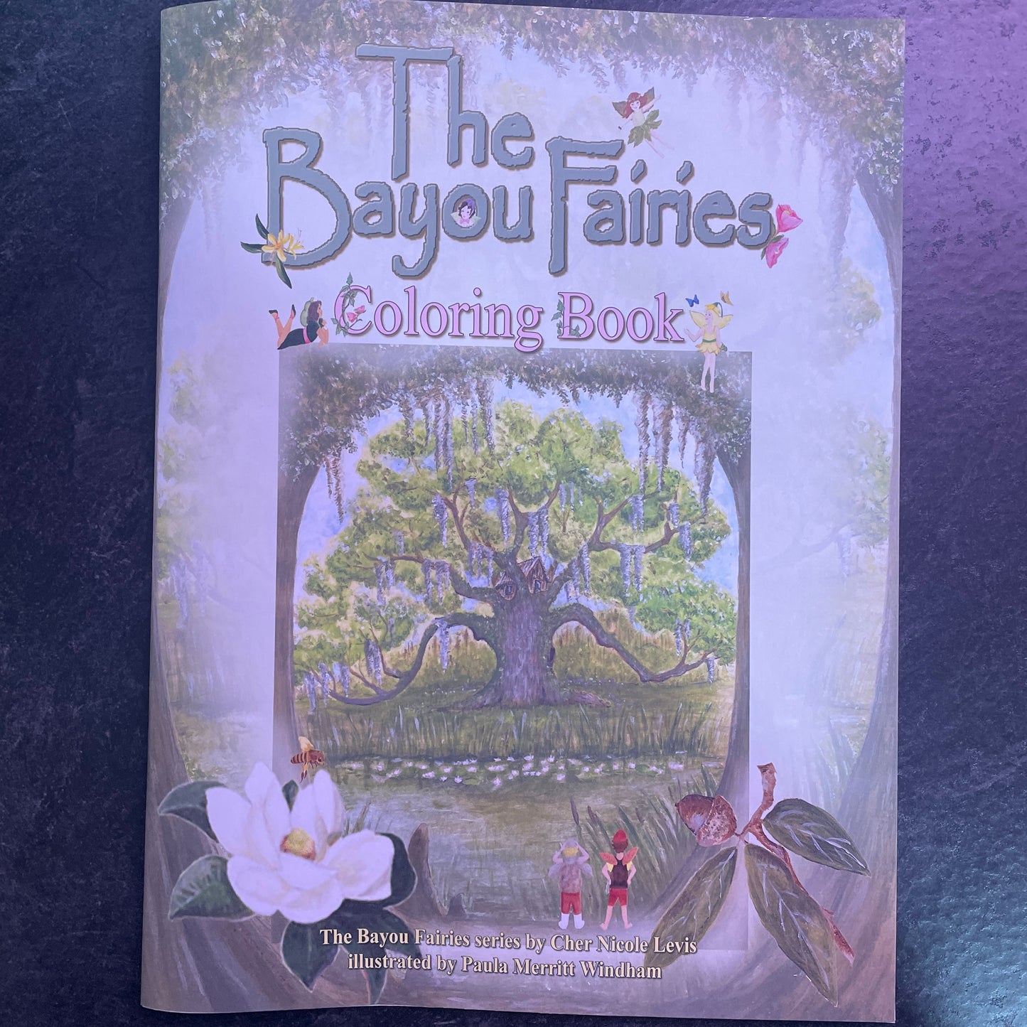 Bayou Fairies Coloring Book