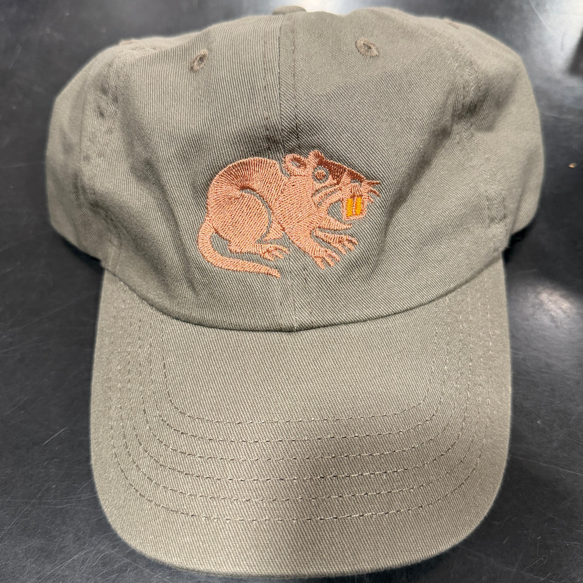 Legends of the Hidden Bayou Dad Hats